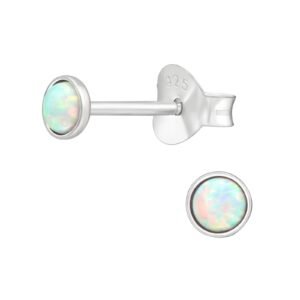 Cute Iridescent Ear Studs
